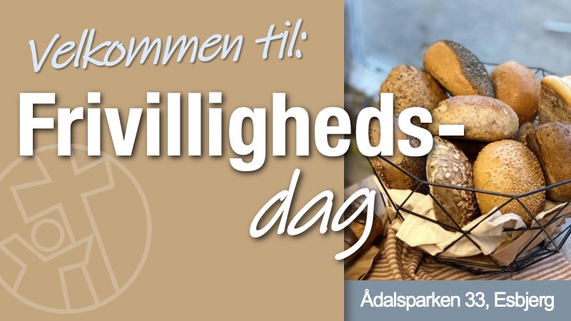 Frivillighedsdag
